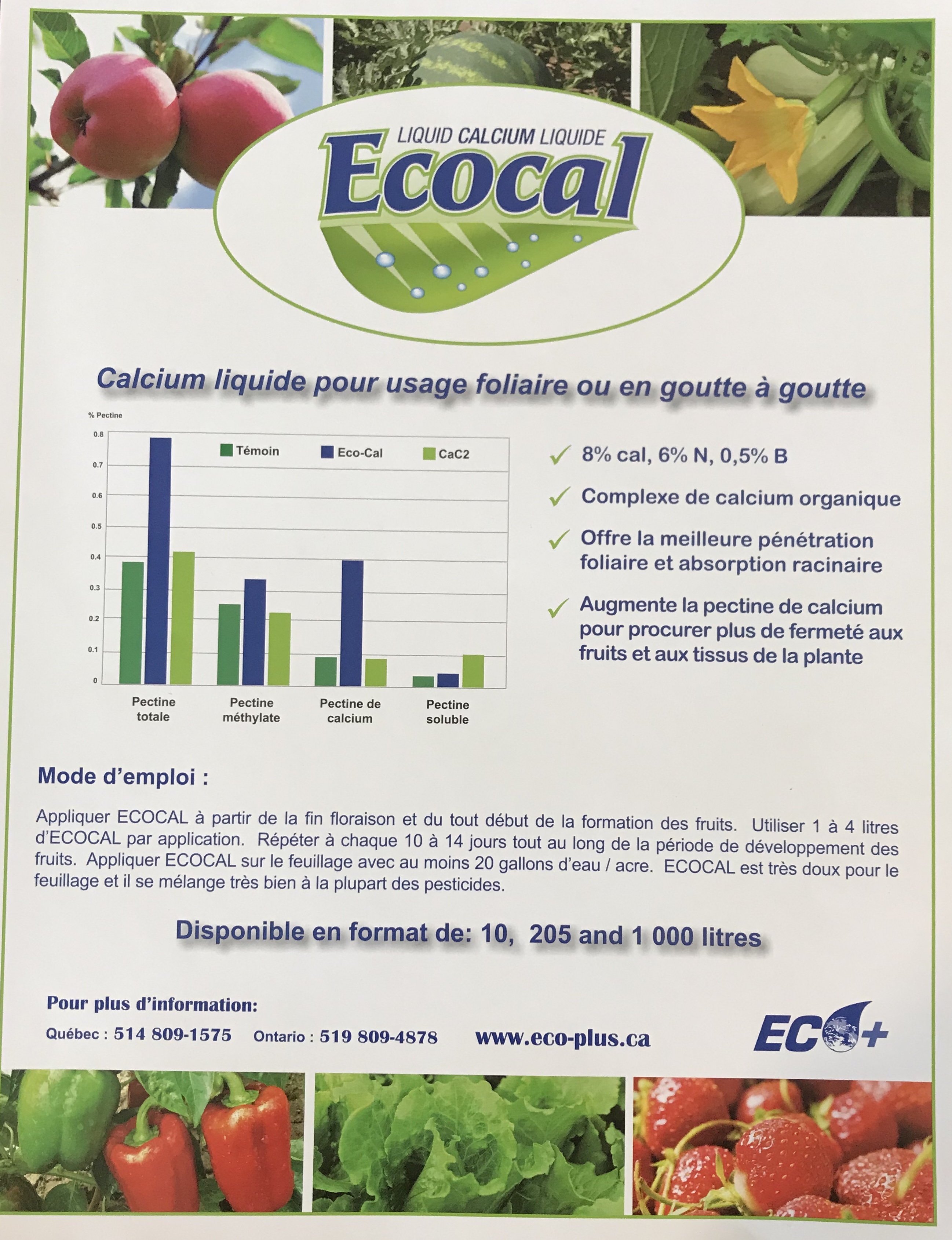 Eco Cal