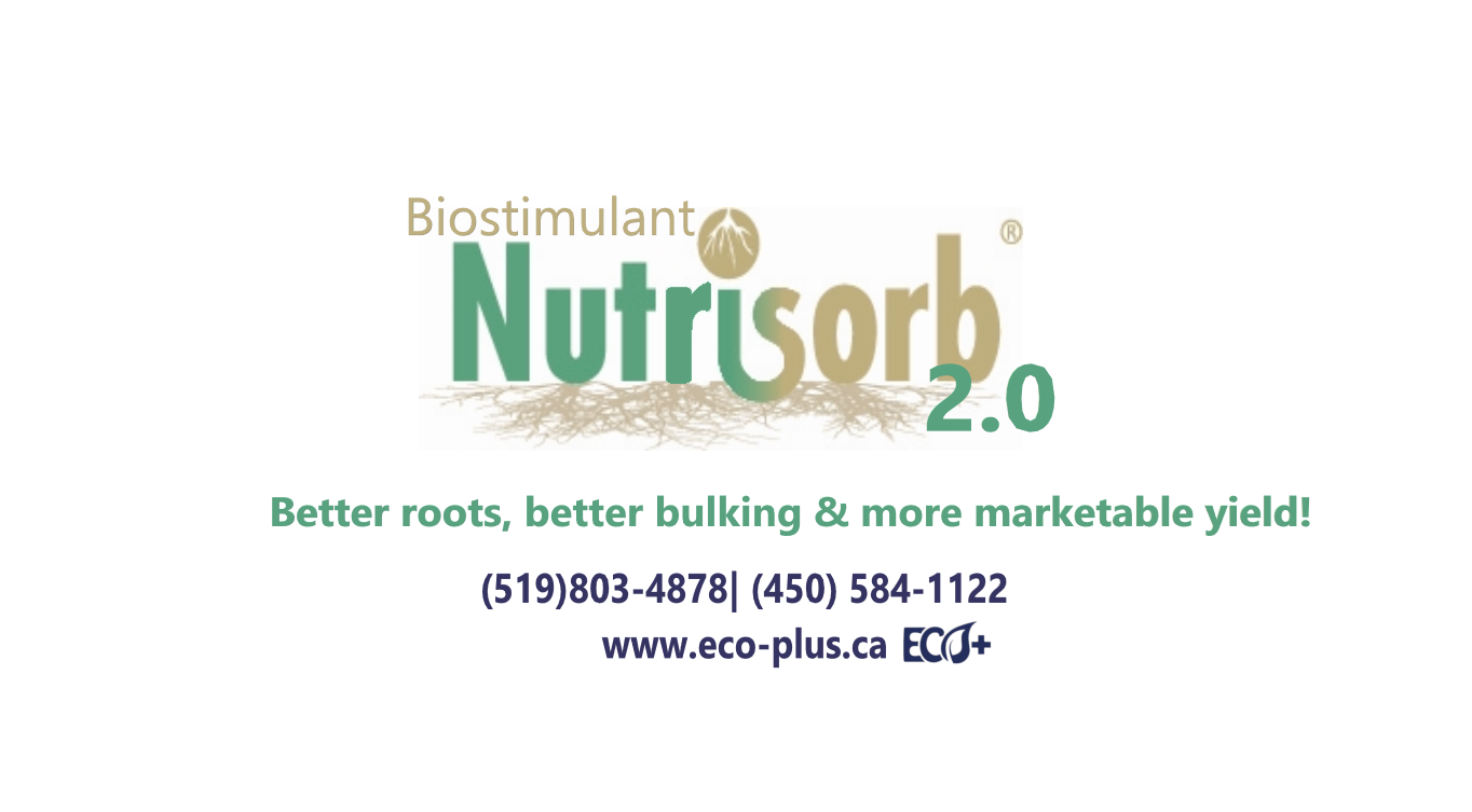 Press Release Nutrisorb 2.0